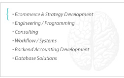 ecommerce, strategy development, engineering, programming, consulting, workflow / systems, backend accounting, database solutions